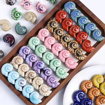 Porcelain Shells